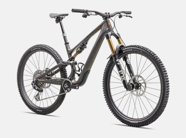 S-Works Stumpjumper 15