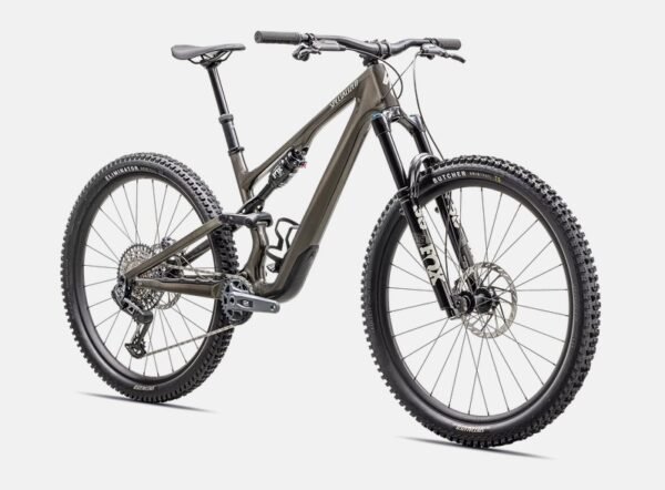Stumpjumper 15 Expert