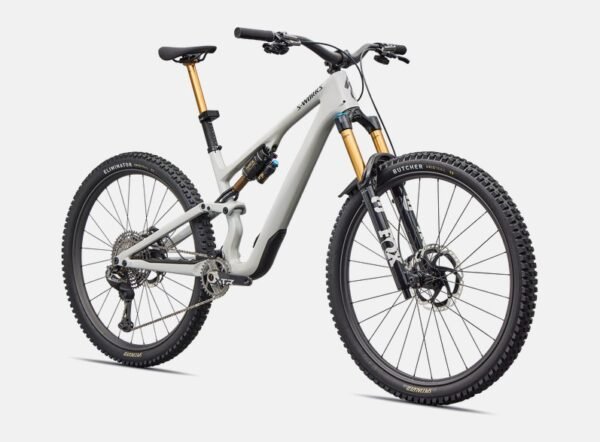 S-Works Stumpjumper 15 EVO Di2