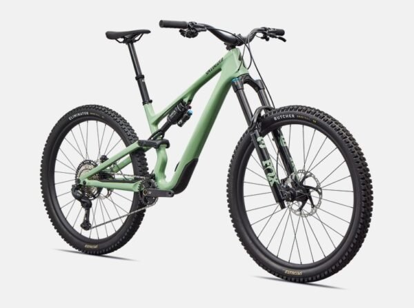 Stumpjumper 15 EVO Expert Di2