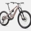 Levo SL Expert Carbon